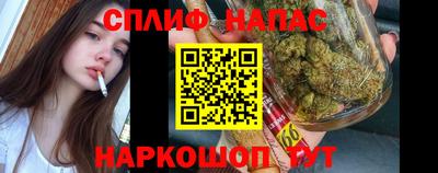 гидра Нарткала
