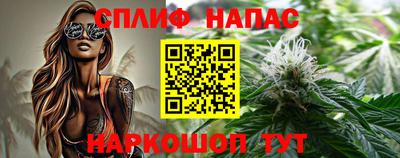 гидра Нарткала