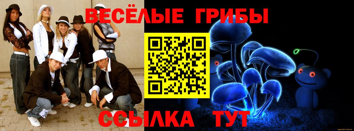 Саратов  Псилоцибиновые грибы GOLDEN TEACHER  Вход с VPN  Галлюциногенные грибы Cubensis 
