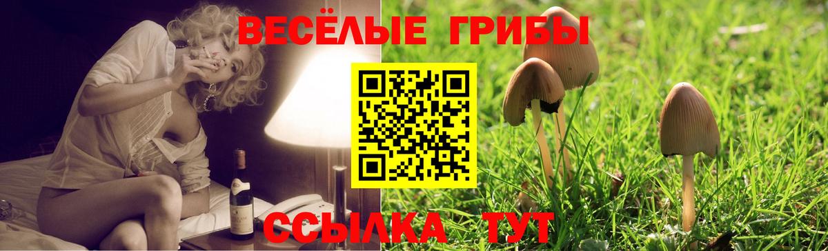 Галлюциногенные грибы ЛСД Саратов
